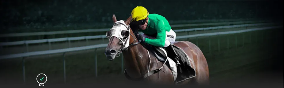 足球盛宴,加时绝平,勒沃库森延,澳客,澳客网,okooo,okooo澳客网官网